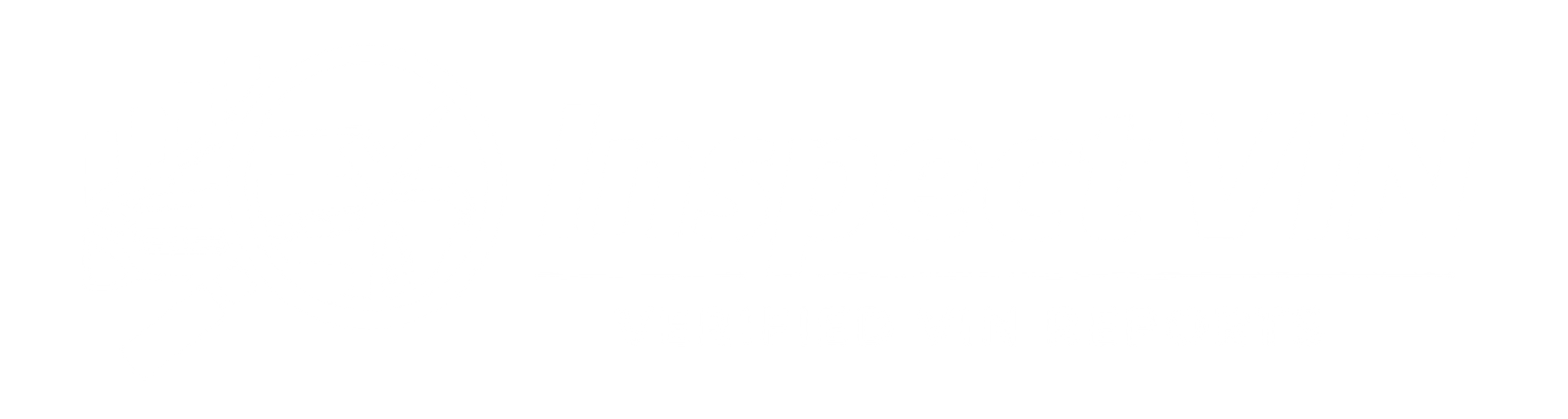 Logo Footer